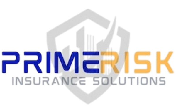 PrimeRisk Logo white bg